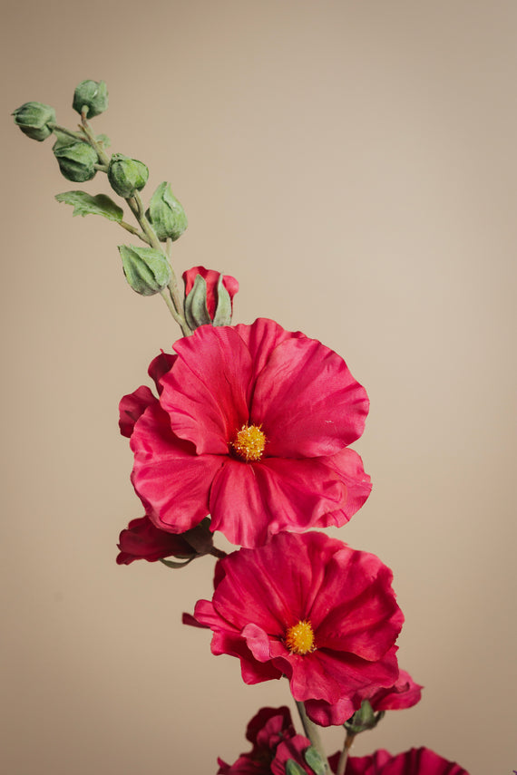 Electric Bloom