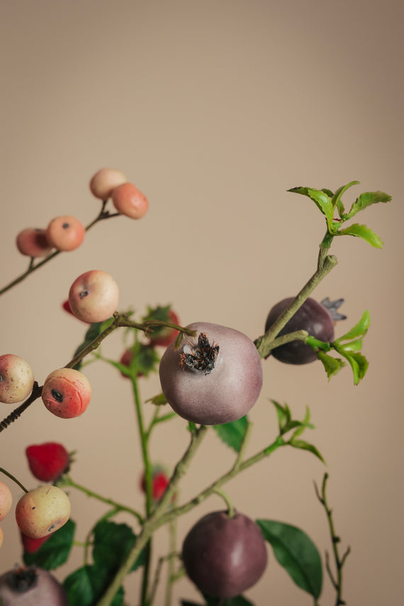 Fruit Fiction