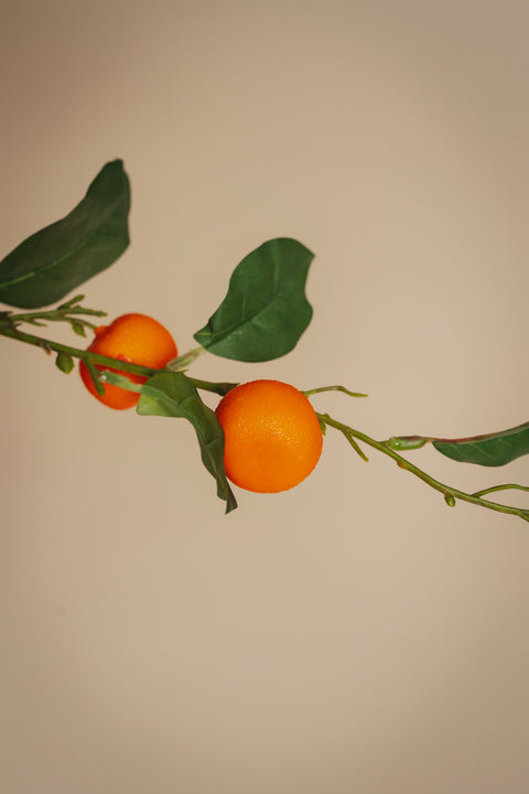 Fruit Fiction