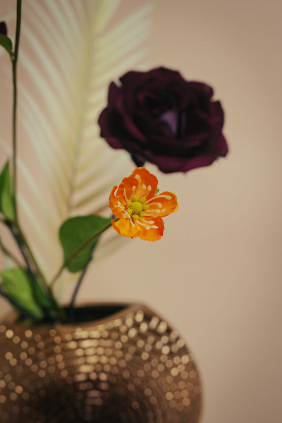 Bisous de Rose