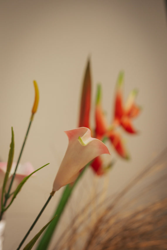 Atelier des fleurs