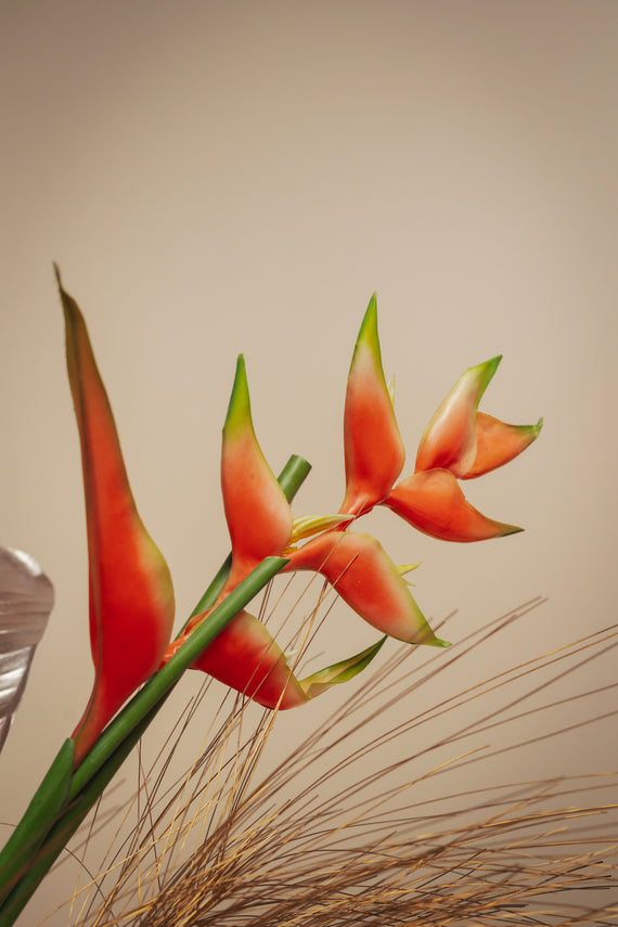 Atelier des fleurs