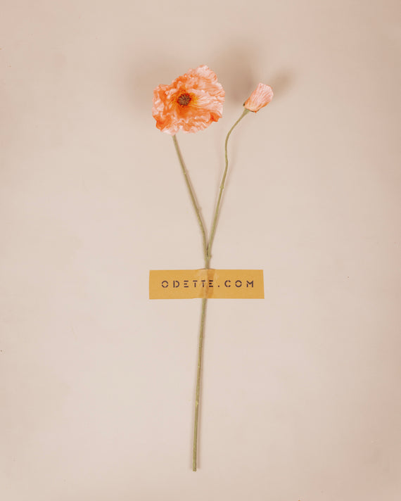 Peach papaver