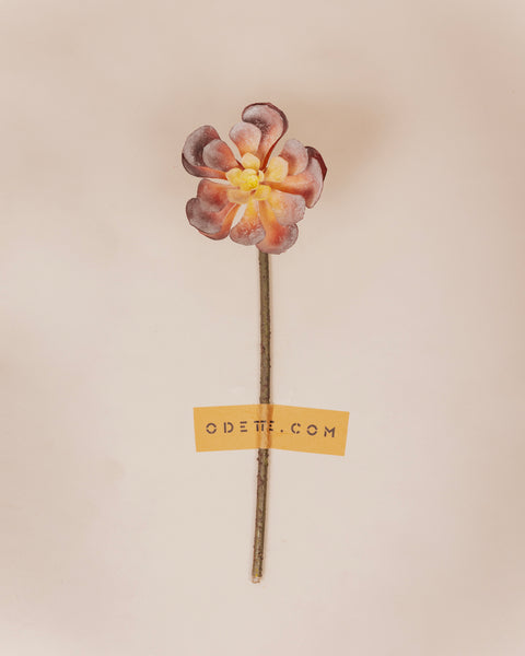 Kunst succulent Tak