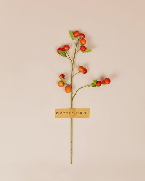 Tomaten tak