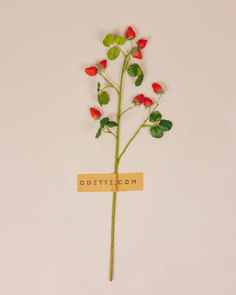 Aardbeientak