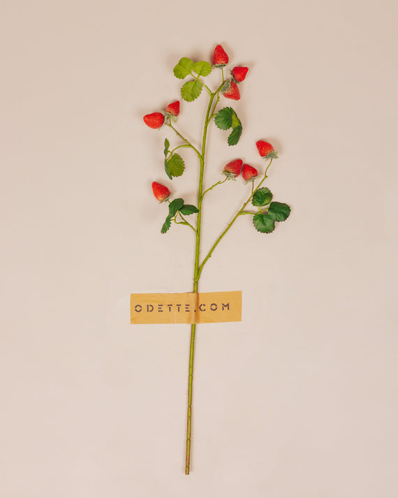 Aardbeientak