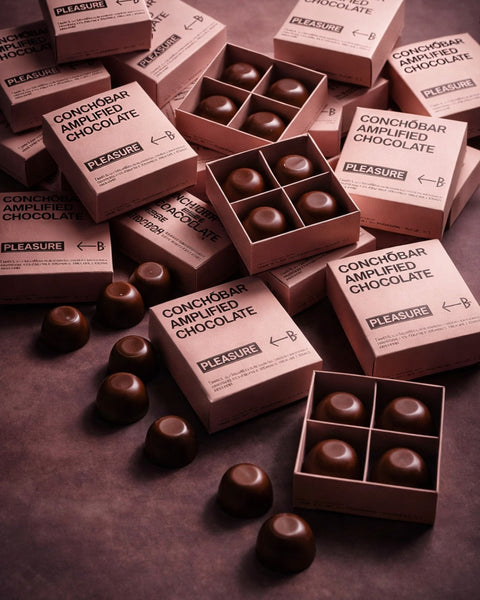 Conchobar Amplified Chocolate